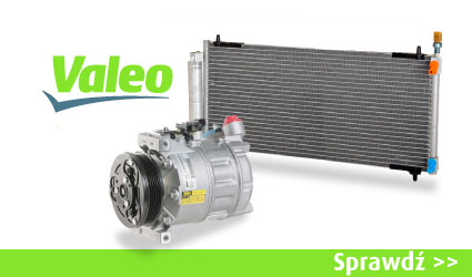 Podwójne punkty w Valeo Specialist Club